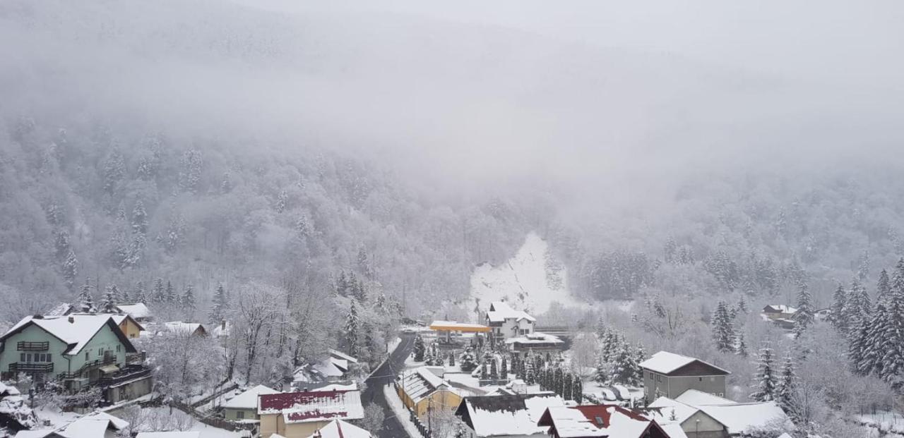 Elite Apartments Sinaia Eksteriør bilde
