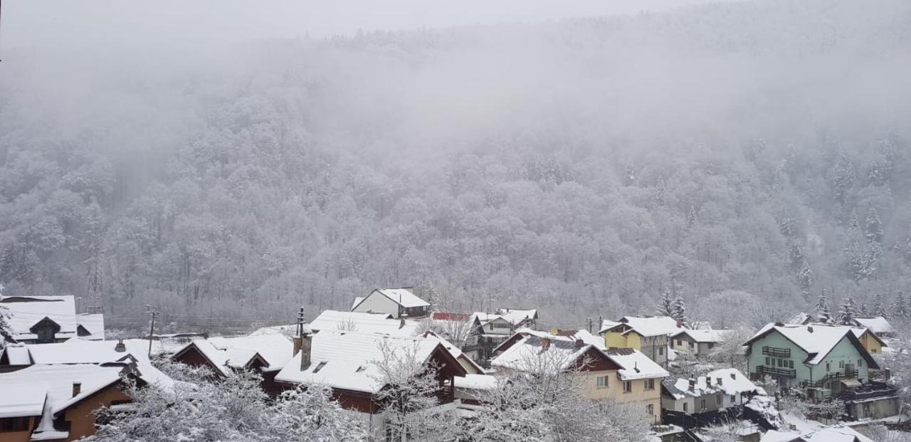 Elite Apartments Sinaia Eksteriør bilde